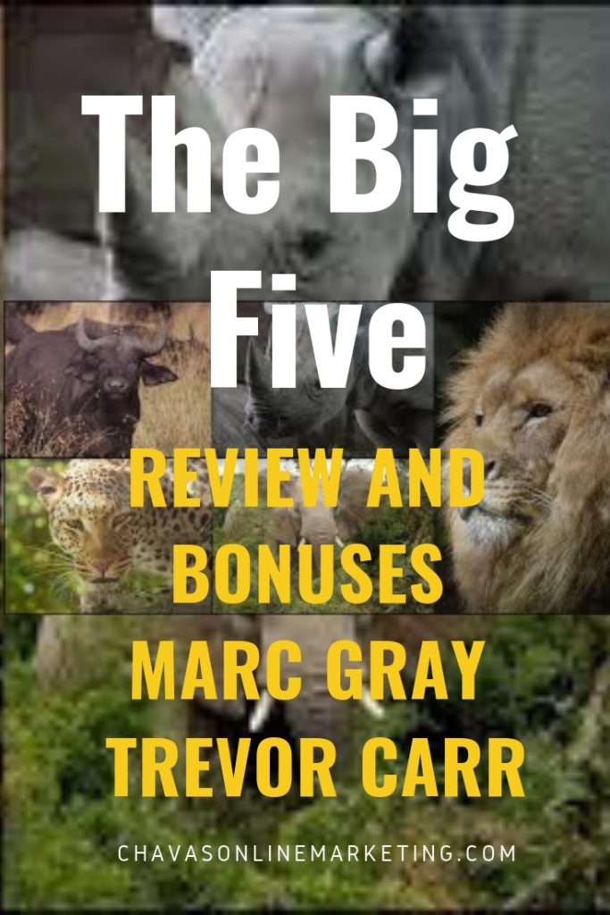 The BIg Five Marc Gray
